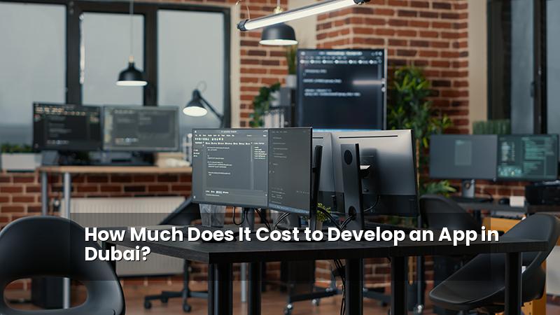 How Much Does It Cost to Develop an App in Dubai?